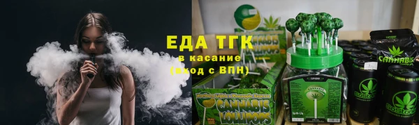 индика Вязьма