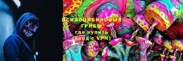 молекула духа Надым