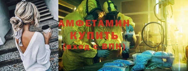 индика Михайлов