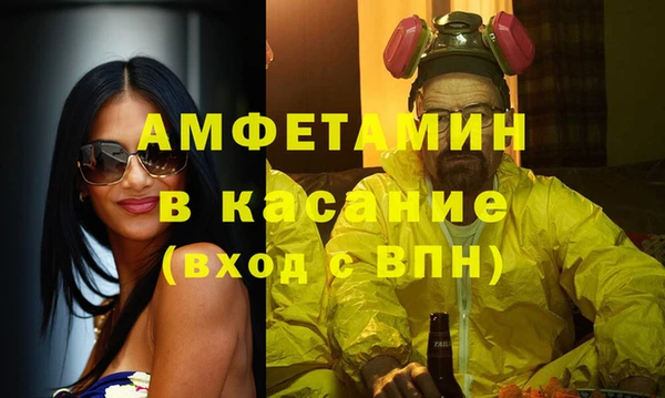 индика Вязьма