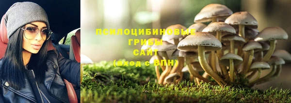 спиды Михайловск