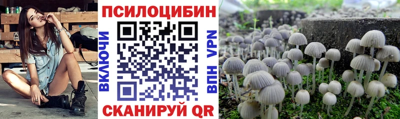 дарк нет клад  что такое   Лысково  Галлюциногенные грибы прущие грибы 